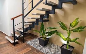 The garden hotel palenque